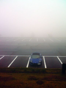 霧のエリ