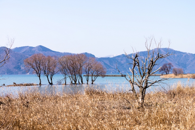 琵琶湖０５