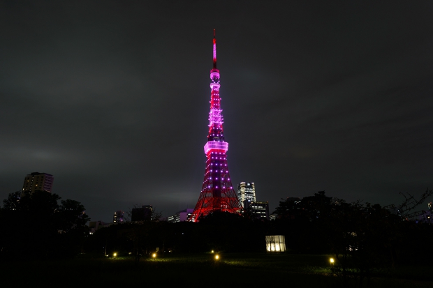 ピンクリボン東京タワー１