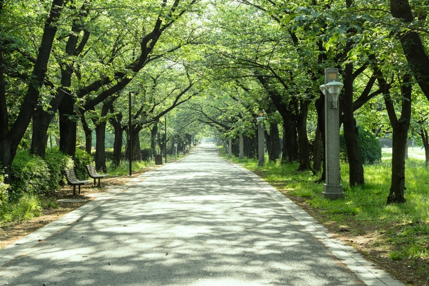 辰巳の森緑道公園１