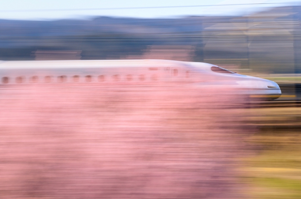 寒桜と新幹線05